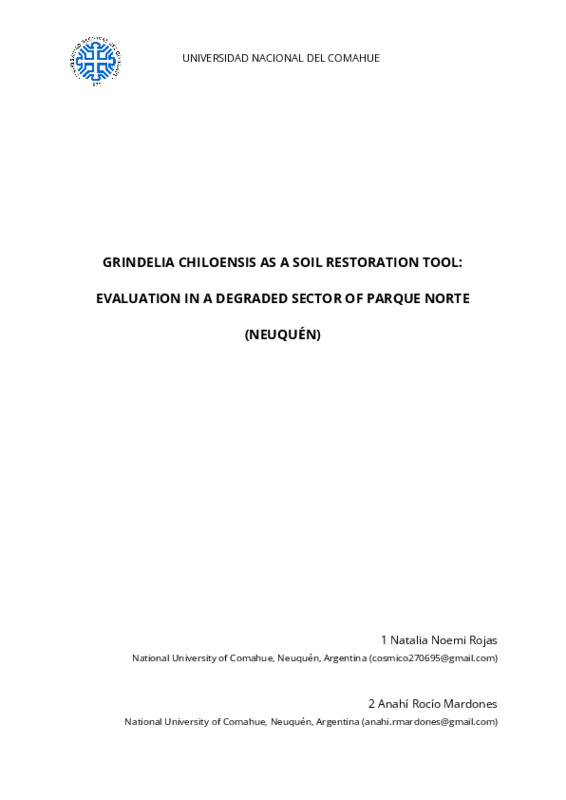INFORME FINAL INGLES (Mardones Rocio y Rojas Natalia).pdf INFORME FINAL INGLES (Mardones Rocio y Rojas Natalia).pdf