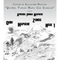 QuimMapuCheZunguNge, Aprenda Idioma Mapuche.pdf