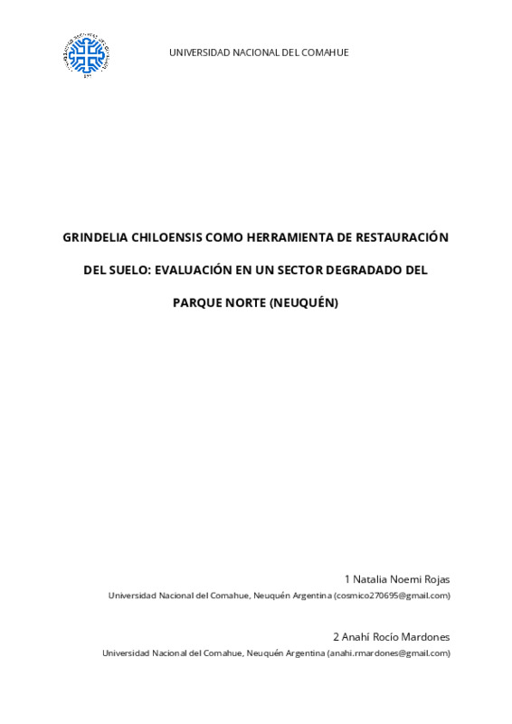 INFORME FINAL ESPAÑOL (Mardones Rocio y Rojas Natalia) (1).pdf